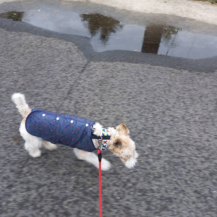 F8a96c52 2d2e 4c36 860d 0af01c51ba04 1621160983590