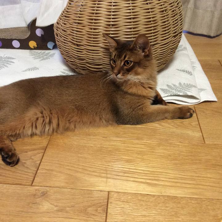 F8a971f0 69f5 4b08 a121 873415c8061f 1589089401087