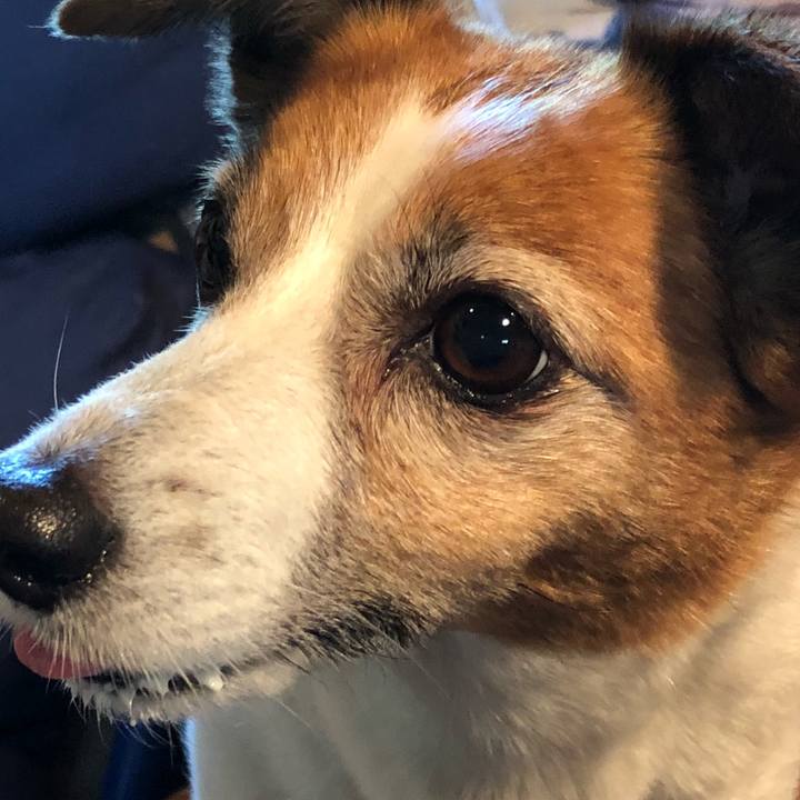 F8a99f19 e135 4dcd 8b3c 1f0ed65b9bb9 1525484888321