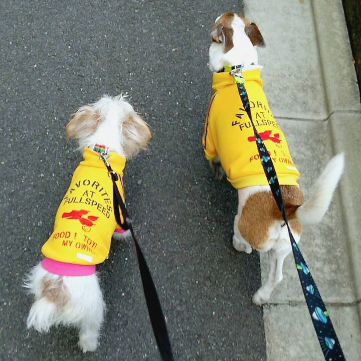 F8a9abcc 2f9e 4f97 9ff9 1ceb19f74d32 1514604535198