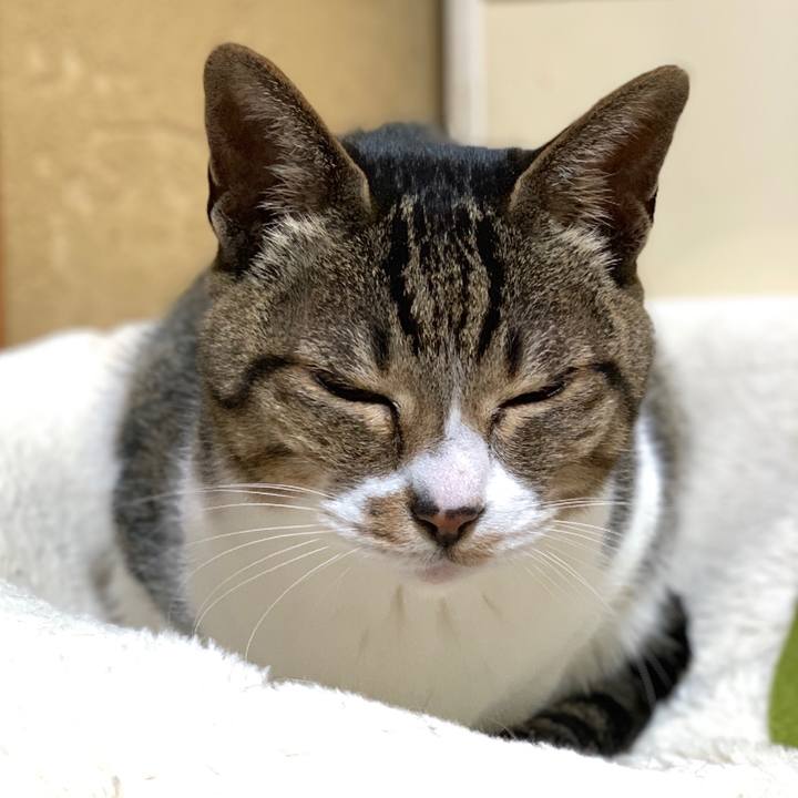 F8a9d232 7816 4598 a7a4 8ea93e823b4b 1553128085851