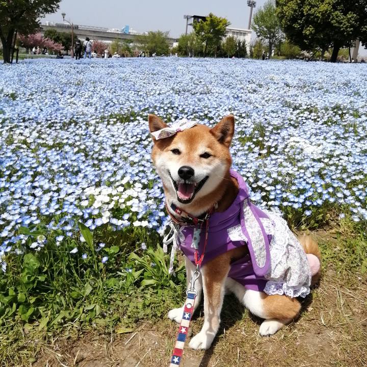 F8aa14fe d9f3 4de4 9f9a 7265f79bb837 1681209223957