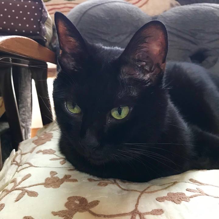 F8aa1c39 cfa6 4254 8730 6b8a34e3726e 1538886172812