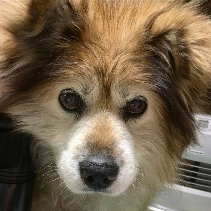 F8aa2c7e f7ef 4711 9df1 bbf51e24ac0c 1640088763288