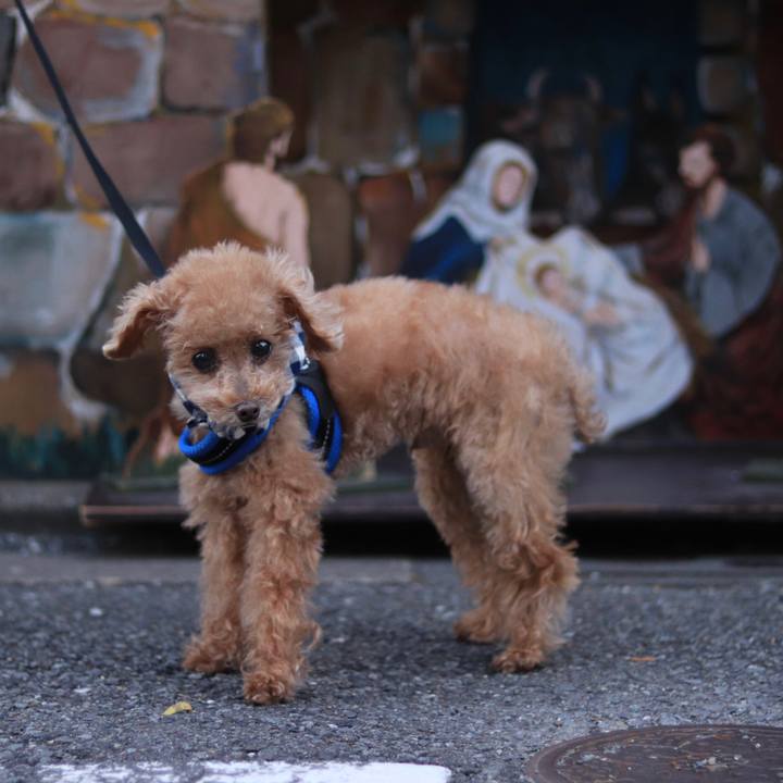 F8aa9529 2a48 486f af7b 8eeaab5e8341 1636890624266