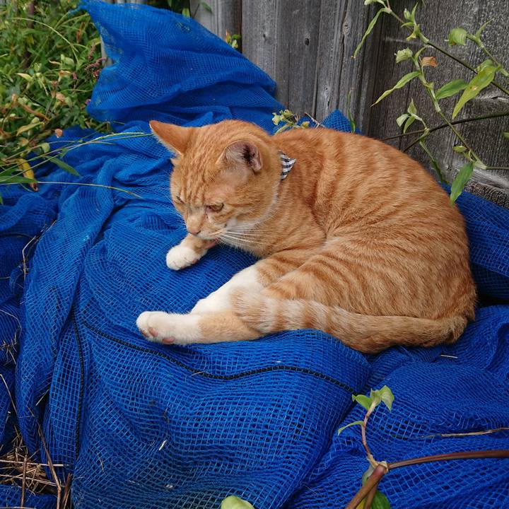 F8aaab2d 5e73 4a00 88fc f7036d383e29 1569722507796