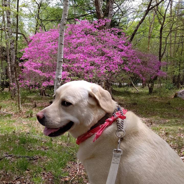 F8aaeda8 8c7d 492c 9629 e4d7e7671cdf 1590404734699