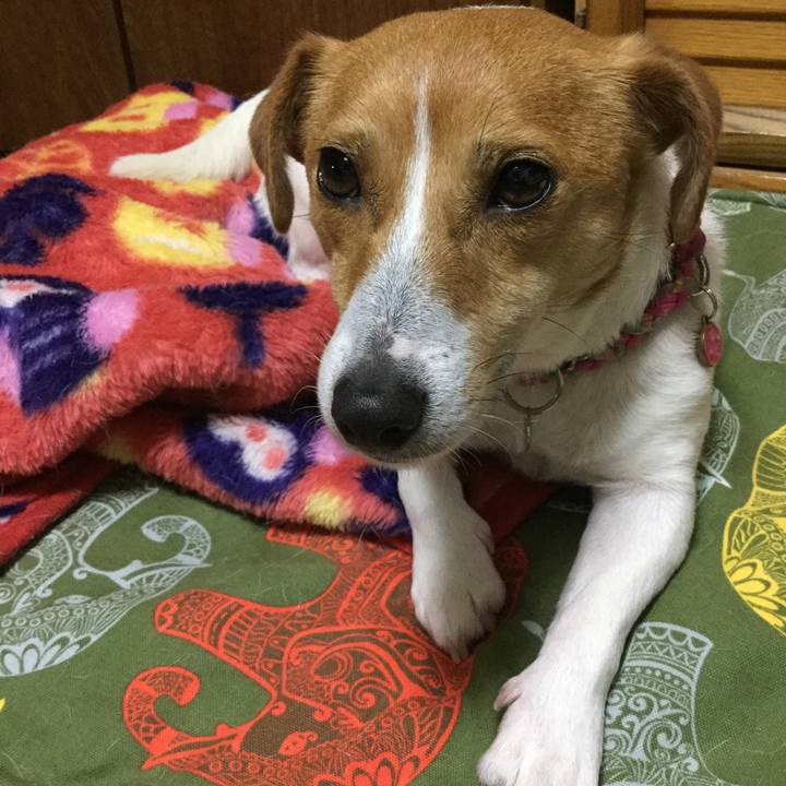 F8aafbb4 aafe 4863 8b49 c1f893b5530a 1524221950980