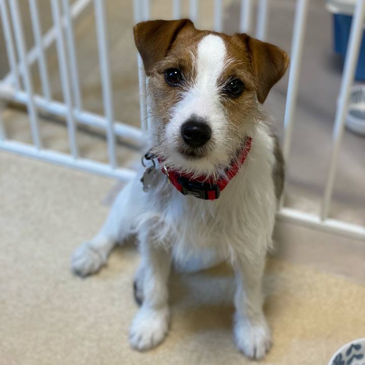 F8ab015f 0ee7 4dd9 b9cd e7477f0e919b 1644190176650