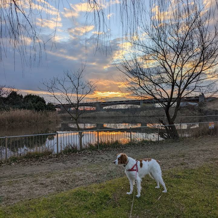 F8ab2d46 a118 48bb a0b7 cb65e1d0401e 1642332822662