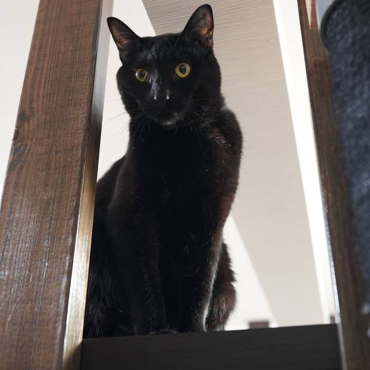 F8ab68d6 44c2 4b9c b7c5 763d0672aa9a 1583288472696