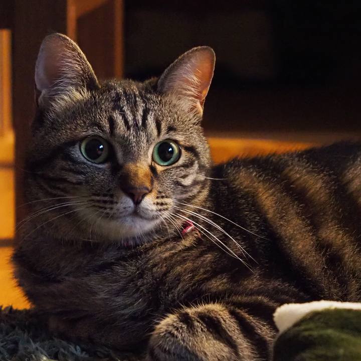 F8ab6e64 8a79 4f51 b8a8 d47d9a839fab 1596119672317