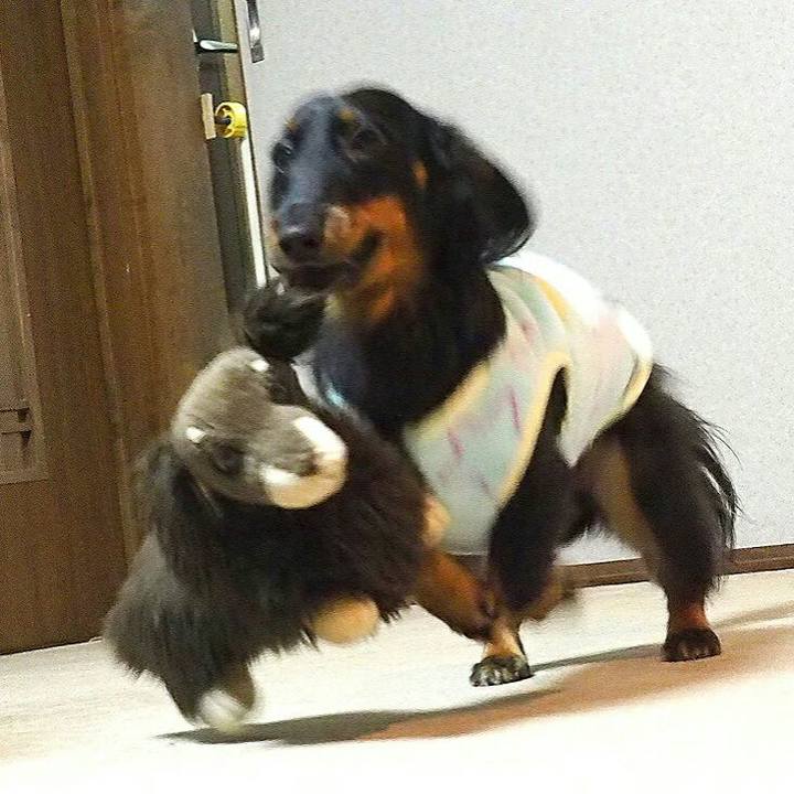 F8ab7a1b 29a9 41a8 8f54 328061e70739 1513048657708