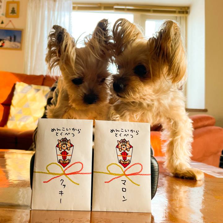 F8ab889b 9fa4 4a01 bd23 1f75b0a66c36 1672823561380