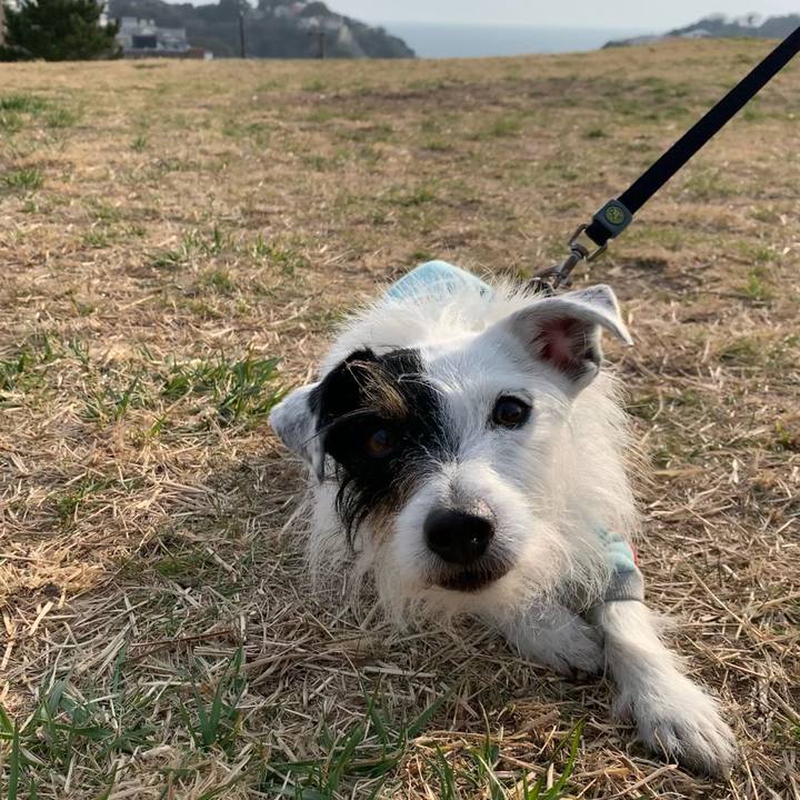 F8ab9d79 817a 4f19 9e2d b4d2508048ed 1647155312465