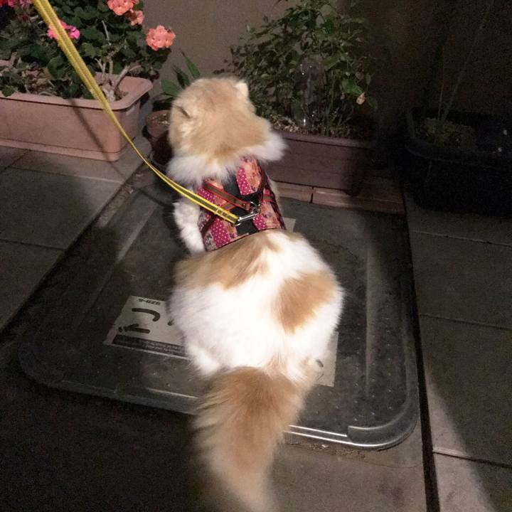 F8abd131 096d 43b3 bd3e d0973363eda6 1529849915235