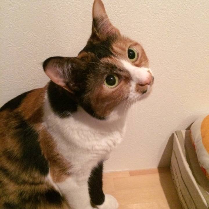 F8abf16f 8295 41b0 a994 3a053ac9d49e 1528376056313