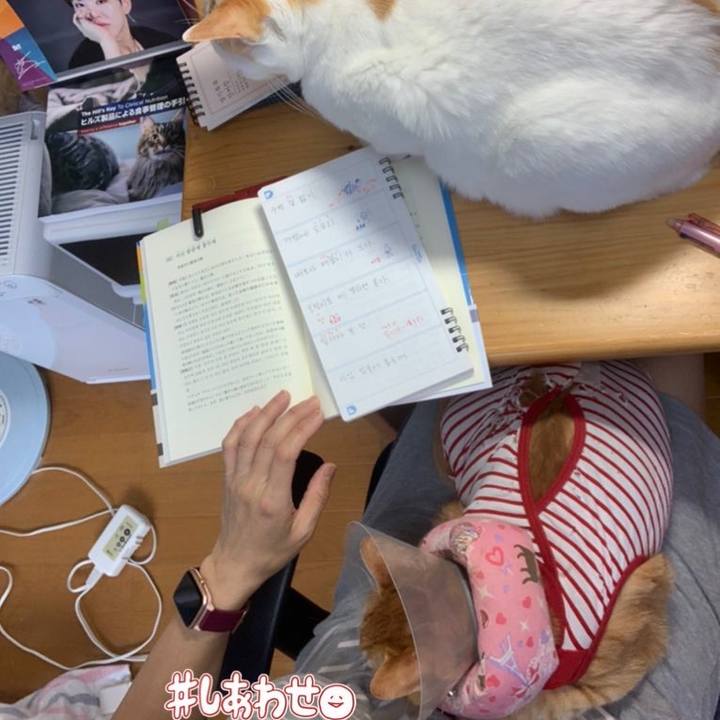 F8abfc87 0f02 42f6 a495 38f007d7cf94 1622238908358