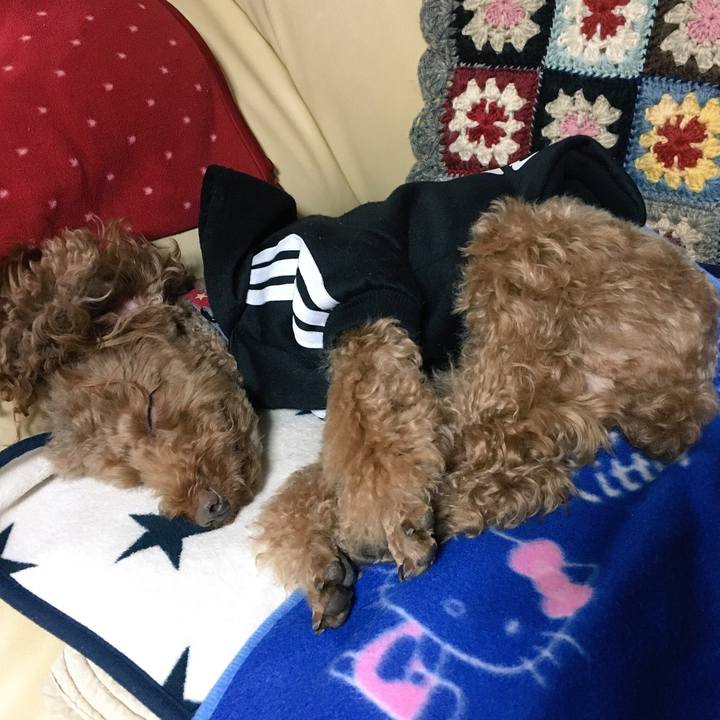 F8ac0cd5 5fa3 4e7e baff 3a0c652c53f2 1514725692939