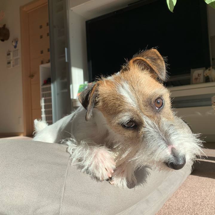 F8ac4a48 b6cb 493b adaf 551f3143ba9b 1578285840856