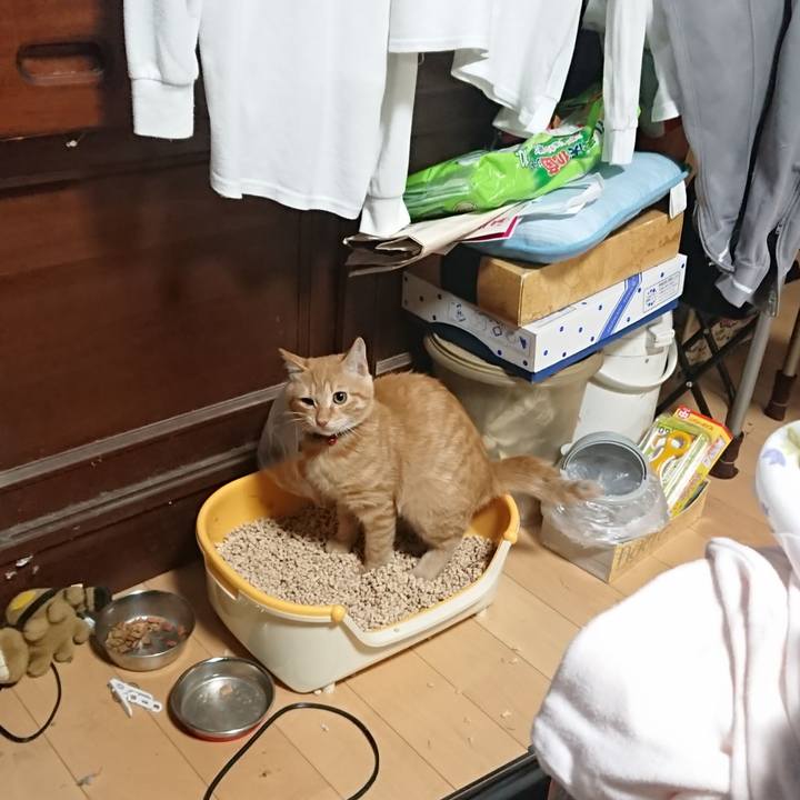 F8ac6188 6ba2 4c5c b786 184dc9b25b3a 1634981797027