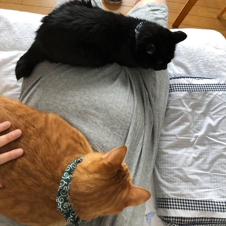 F8ac63f7 194c 4dd5 b8ac 7523a76ae831 1575757732274