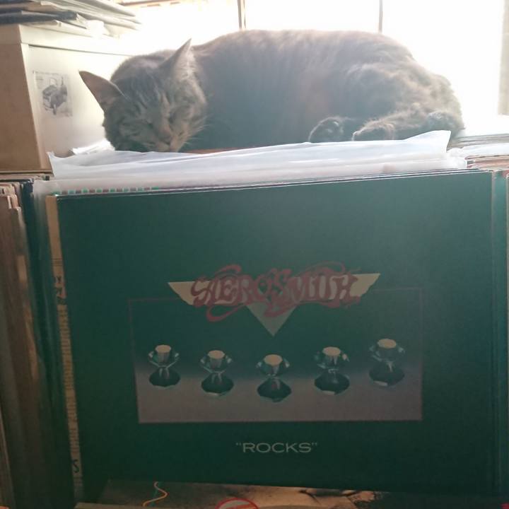 F8ac727f 2f7d 46c3 90c0 7f2cf7b26e6e 1656814780140