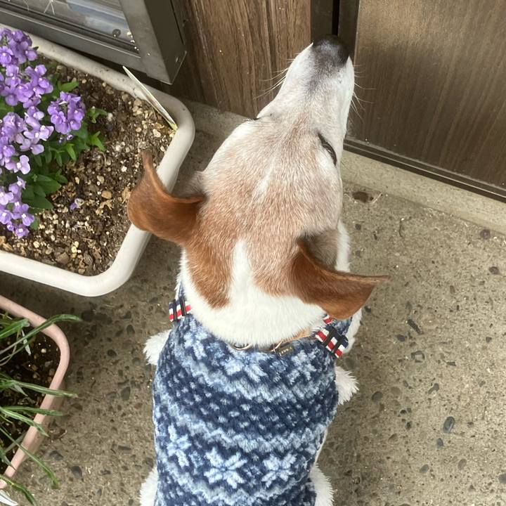 F8acadfb d232 431e 9a98 1609feb3966c 1773535243982