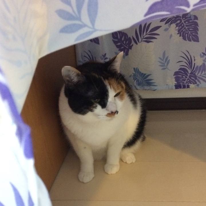 F8acaf19 1aab 43e9 8939 a58f77579e8f 1584235180384