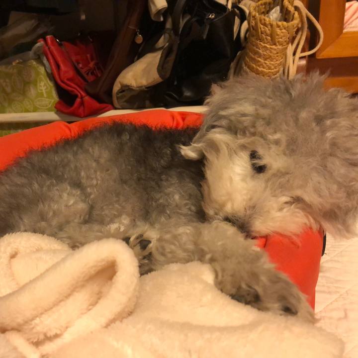 F8acbd06 a2f7 432a a18d d839df5b6553 1563582838521