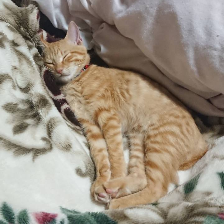 F8acffe2 cf2f 4405 892c 66f22bb3b454 1633694095421