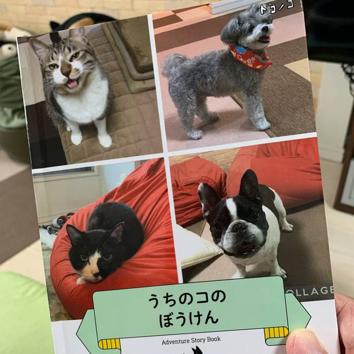 F8ad3d33 31ad 459f af6f ebc7a928dd90 1625030000556