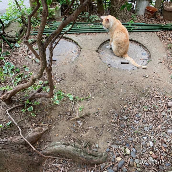 F8ad445b 76fd 4a26 851e a6c2514103f3 1623826228004