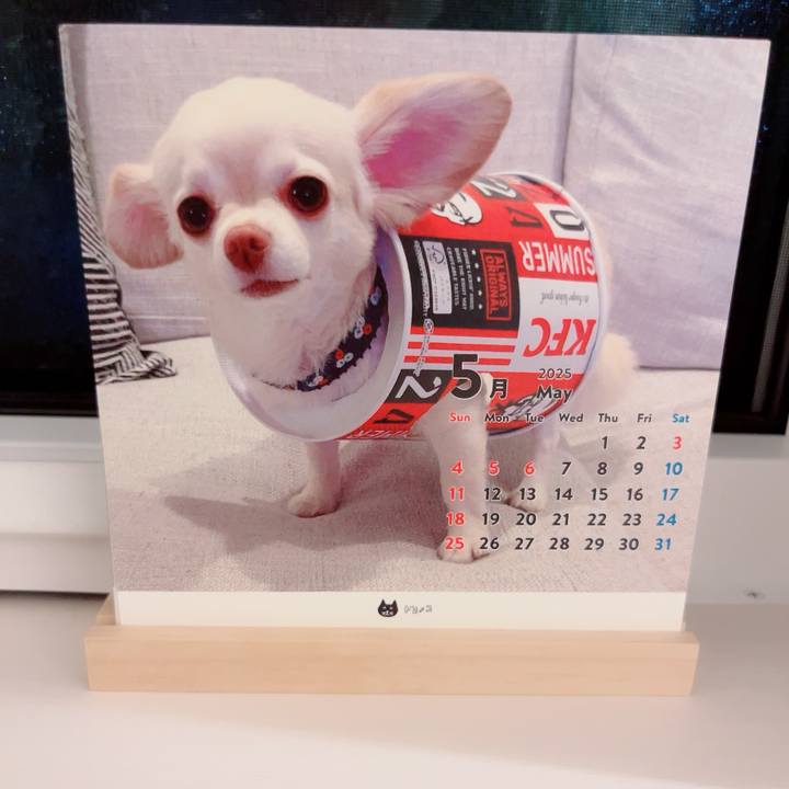 F8ad51db 912d 4a3c b5bb dc489cb5feaa 1746192241452