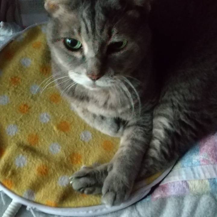 F8ad5ae2 1eaf 47fb 9cd5 46040a2e2d33 1665010197587