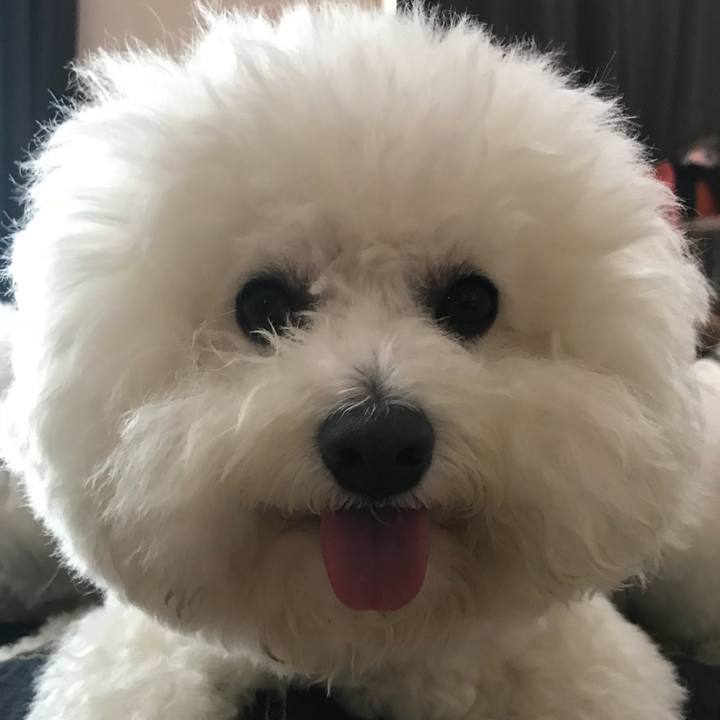 F8ad65b6 2b88 4c50 b83e 781adb2e4dbf 1555826944270