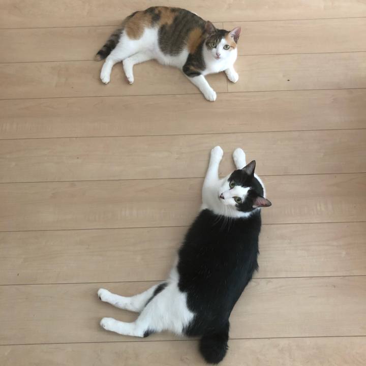 F8adb5e1 171f 4ac4 ab10 00a88e4b3b6e 1591484094409