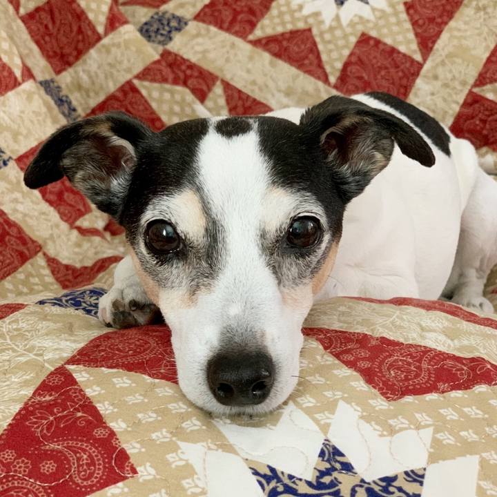 F8adfd95 499c 4a3d 9c06 2009075843b1 1606259596849