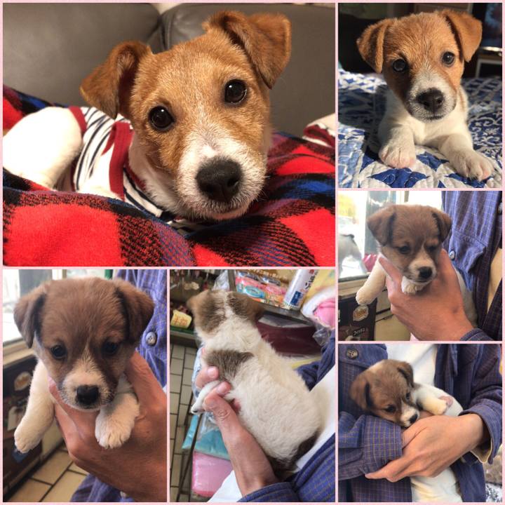 F8ae16c4 f0c3 48ec 9d3e d52c0c0fb72b 1552440912224