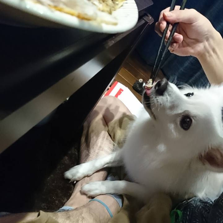 F8ae4601 c19f 4bd7 b3da 285afe49d1b7 1528634868738