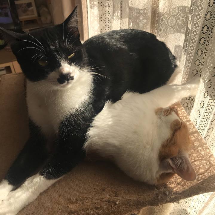 F8ae4718 b7e1 42ba b0d8 cf13e1d854cd 1611206617819