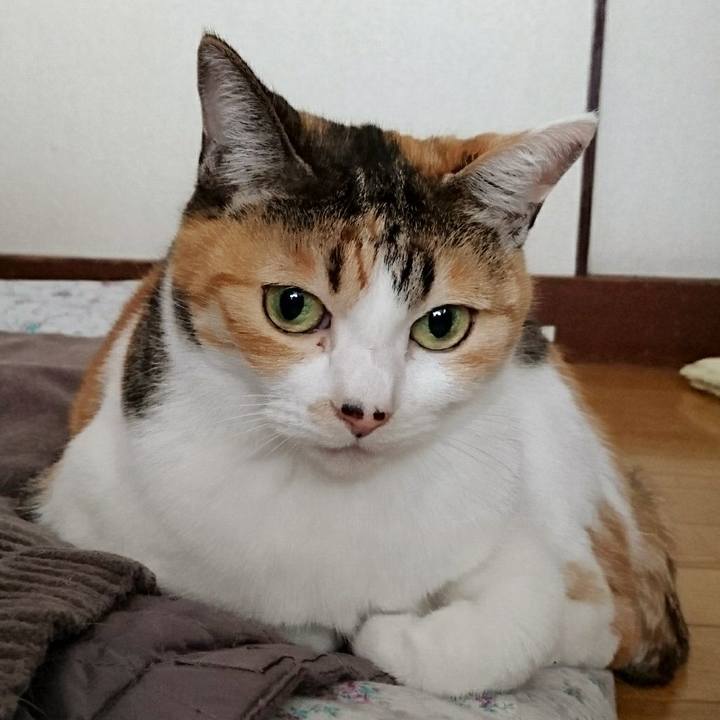 F8ae51f4 b7e4 4bec a392 1b730487e2b1 1553300743119