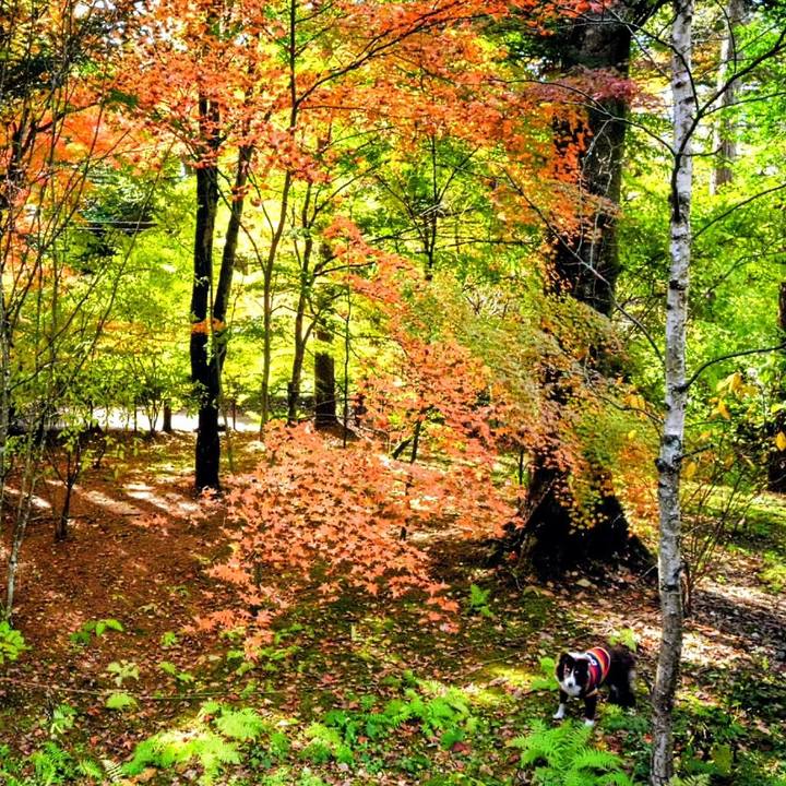 F8ae82d7 f8a1 4fe7 8679 5ceb668ada8b 1762048996665