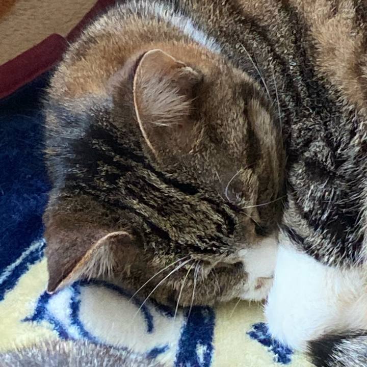 F8ae83e1 bd04 4dfb 8a81 cd90ff3feaed 1684960144615