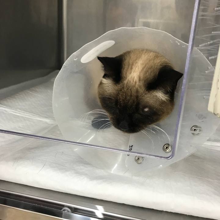 F8ae84ce ebf4 4bdd b6da 8257cdf369e7 1524017755399