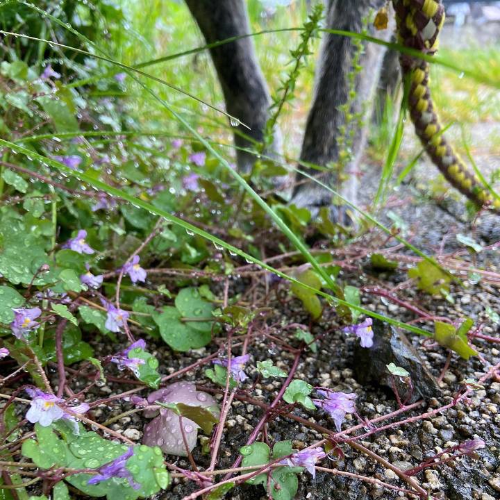 F8aec7ef c0c5 4157 b4c4 6b3ee21a641d 1621154678903