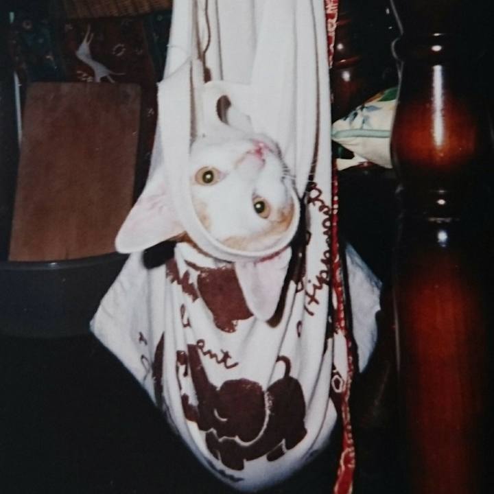 F8aef142 a3c0 459a a10b c887de313c07 1619094462506