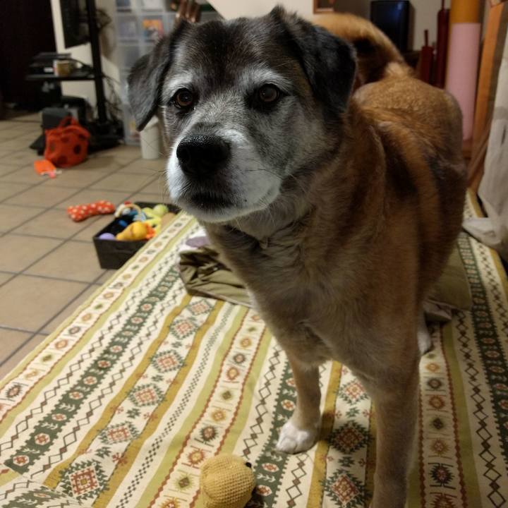 F8af0bbb bdf9 43ef 8af8 b339a3cbb404 1552554664867