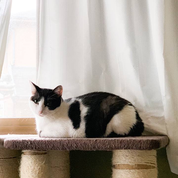 F8af146b bfc3 4828 bbce 9b1177678652 1568944391269