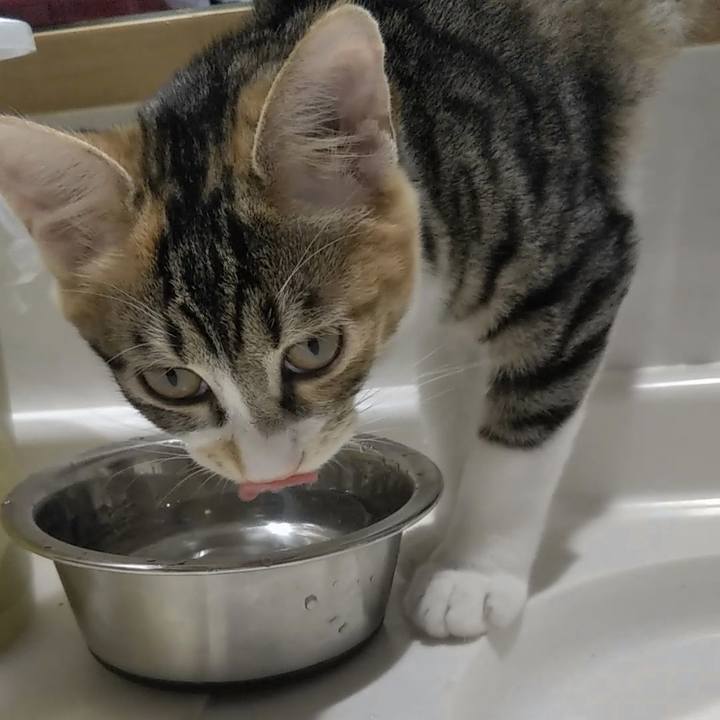 F8af1a27 88a6 46e5 abcb 233d577462c2 1630400764612